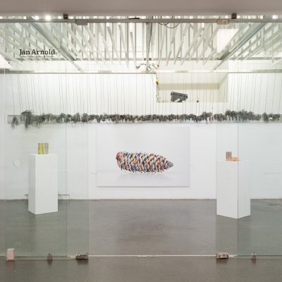 ANNE-SOPHIE WASS - trees make forests