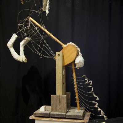 Nora Schindler - Unverblümt