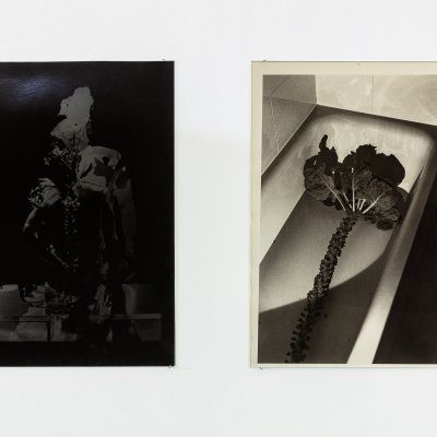 transformative embodiments